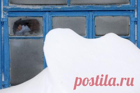 Власти предложили запертой дома из-за снега россиянке лазать через забор. Власти поселка Кавалерово в Приморском крае предложили россиянке, которая неделю не могла выбраться из дома из-за сугробов, перелезать через забор. Об этом сообщает «Народный фронт — Приморье». По сообщению общественников, в поселке не чистили снег, из-за чего калитка дома женщины перестала открываться.