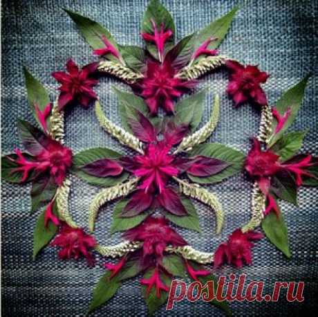 Nature Mandala Art::Vermont