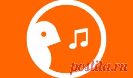 THE KINGDOM - Qwant Boards