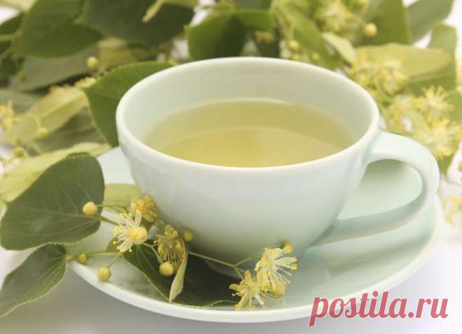 Вершки и корешки: гид по популярным травяным чаям — Journal women❜s