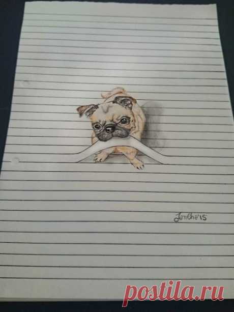 Интересные рисунки животных, застрявших в тетрадных листах