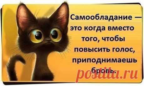 Fishki.net - Сайт хорошего настроения