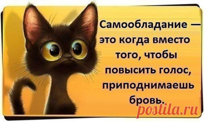 Fishki.net - Сайт хорошего настроения