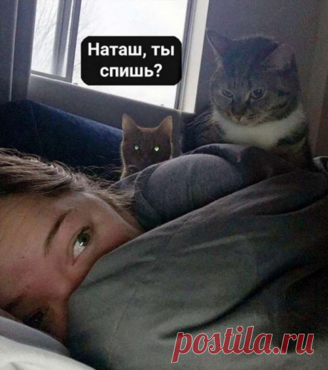 «Наташ, ты спишь?!»: и так каждое доброе утро . Тут забавно !!!