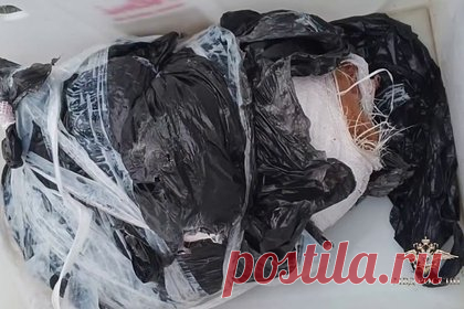 Ковер из марихуаны у расчленивших амурского тигра россиян попал на видео