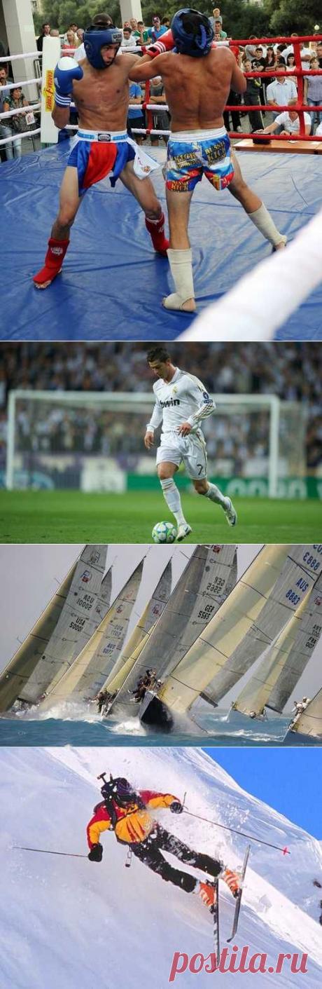 Рукопашный бой, Капоэйра, Гимнастика спортивная, Волейбол, Петанк. (1/1) - Спортивный форум. - Спортивный сайт