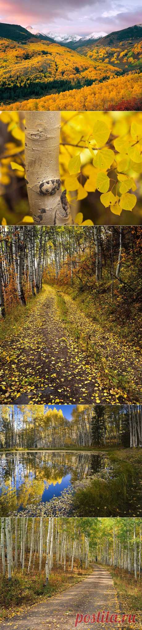 Photography by Alex Burke (16 photos) - - Xaxor