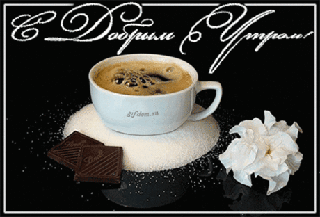 512951929.gif (450×305)