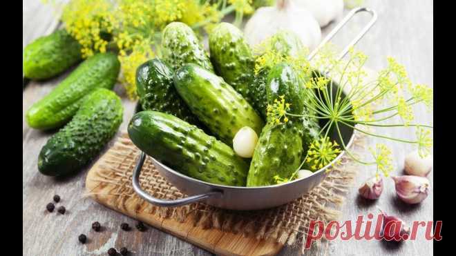 Малосольные огурчики на минералке за сутки. Хрустящие и упругие) | Вкусно и полезно | Яндекс Дзен