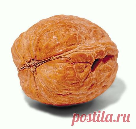 Упражнение с орехами-для оздоровления и долголетия.