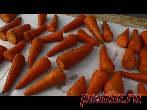 Как сохранить сочную морковь без погреба