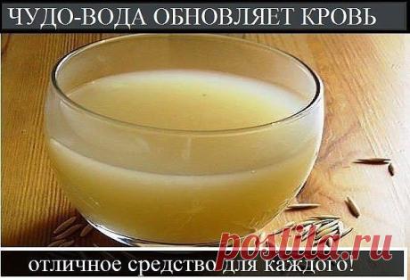 ЧУДО-ВОДА ОБНОВЛЯЕТ КРОВЬ

Попался полезный рецепт о пользе овсяной воды. О нём пишет женщина, испытавшая его на себе...

Этот рецепт мне достался от мамы. Овсяная вода — отличное средство для каждого! Овсяная вода обновляет кровь, что важно для всех. Она нормализует обмен веществ, улучшает работу почек, укрепляет иммунитет. И вообще она оживляет весь организм.

Мне скоро исполнится 80 лет, но больше 60 не дает никто. Сама же я ощущаю себя 50-летней. Думаю, это заслуга овс...
