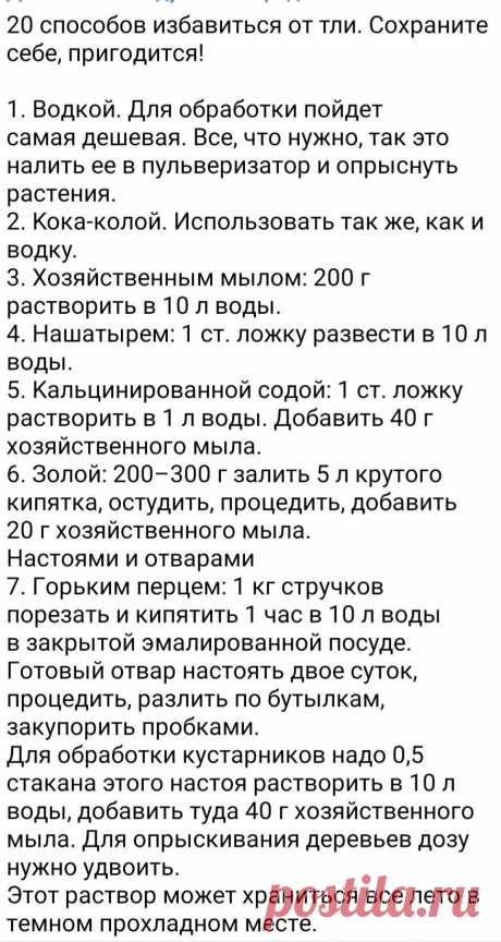352cce960cf028e6d6752d79d05137de.jpg (875×1644)