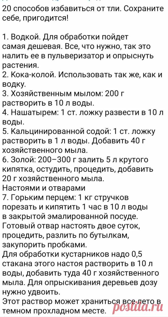 352cce960cf028e6d6752d79d05137de.jpg (875×1644)