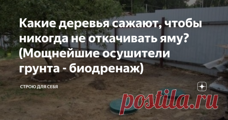 Какие деревья сажают, чтобы никогда не откачивать яму? (Мощнейшие осушители грунта - биодренаж) Данная статья посвящена осушению грунта выгребных ям - но это всего лишь частный случай. Естественным образом, за счет растений, осушать территорию реально не только вблизи выгребных ям, но даже если участок или его часть находится в низине и страдает от проливных дождей или таяния снега весной или очень высокого УГВ