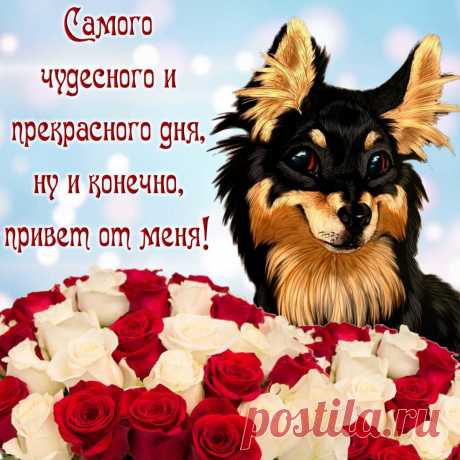 Пусть день пройдет удачно, пусть всё получится. Радуйся даже мелочам. Желаю хорошего настроения!