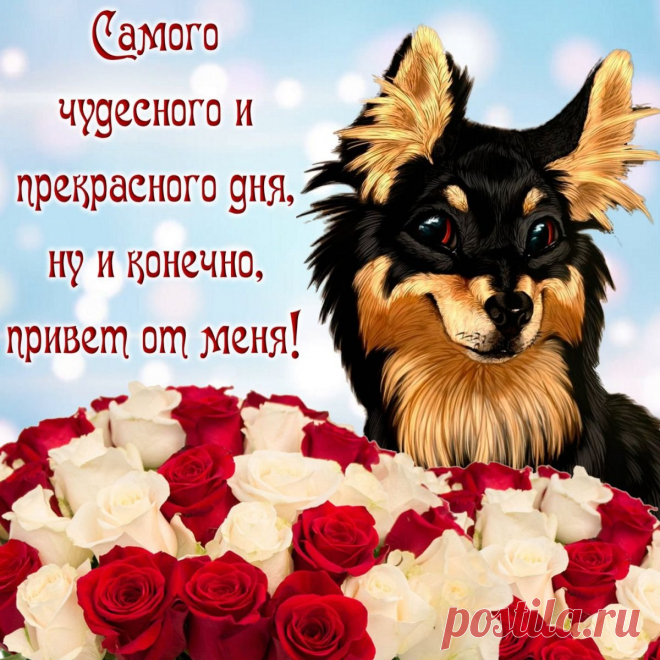 Пусть день пройдет удачно, пусть всё получится. Радуйся даже мелочам. Желаю хорошего настроения!