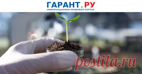 Госдума приняла поправки по вопросам безопасного обращения с пестицидами и агрохимикатами Закон направлен на рассмотрение в Совет Федерации.