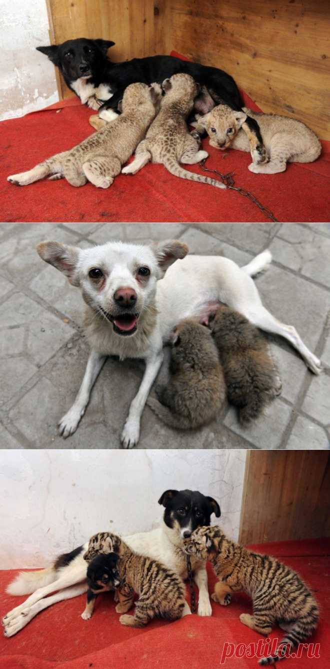 НОВОСТИ В ФОТОГРАФИЯХ