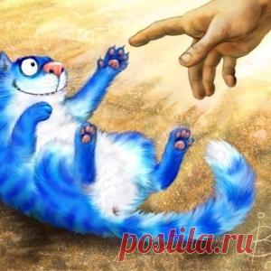 Смешная история про спасение кота нестандартными методами