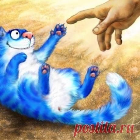 Смешная история про спасение кота нестандартными методами