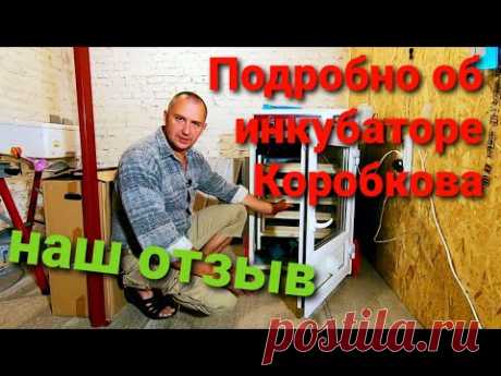 Инкубатор Владимира Коробкова. Обзор и отзыв