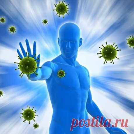 Ось він! Потужний природний антибіотик, який вбиває всі інфекції в організмі | Простір