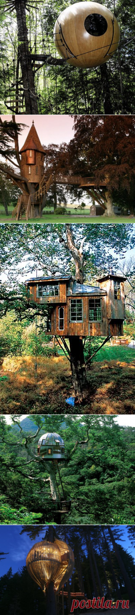 Классные Treehouses со всего мира | Классные вещи коллекции
