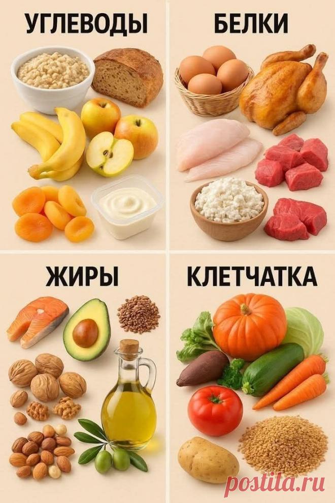 🧩 4 ключевые группы продуктов, которые должны быть в рационе каждый день

 Чтобы питание было сбалансированным, важно не исключать целые категории продуктов, а грамотно сочетать их. Эта схема поможет понять, какую роль играет каждая группа.
🍚 Углеводы — энергия для тела и мозга
Включайте сложные углеводы в каждый основной приём пищи. Они поддерживают стабильный уровень сахара и дают длительное насыщение.
Примеры: крупы, хлеб цельнозерновой, фрукты, йогурт, сухофрукты.
🍗...