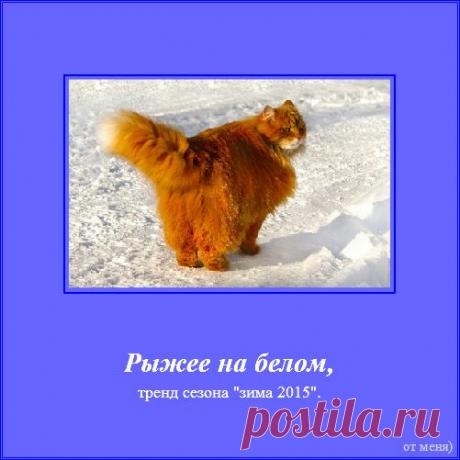 Создание демотиваторов