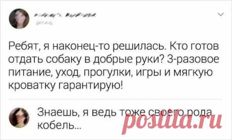 Подборка смешных комментариев из социальных сетей (16 фото) . Тут забавно !!!