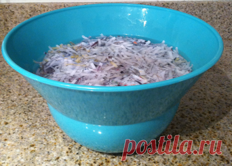 Семенная бумага своими руками / Банк семян