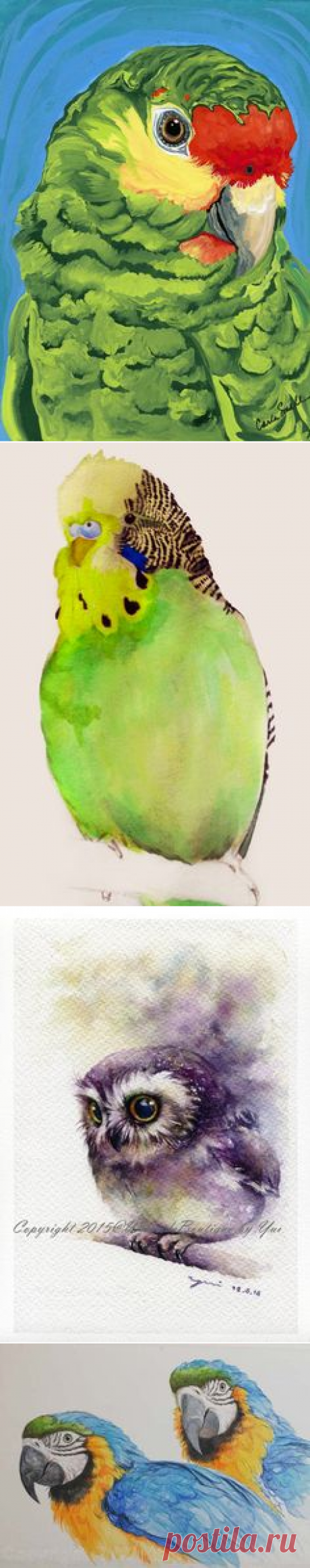 Watercolor | Watercolor animal paiting