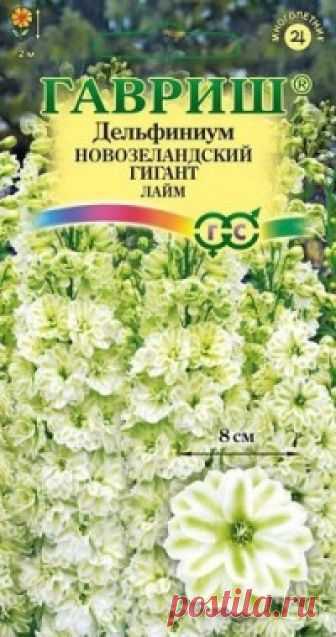 Семена. Дельфиниум супермахровый 