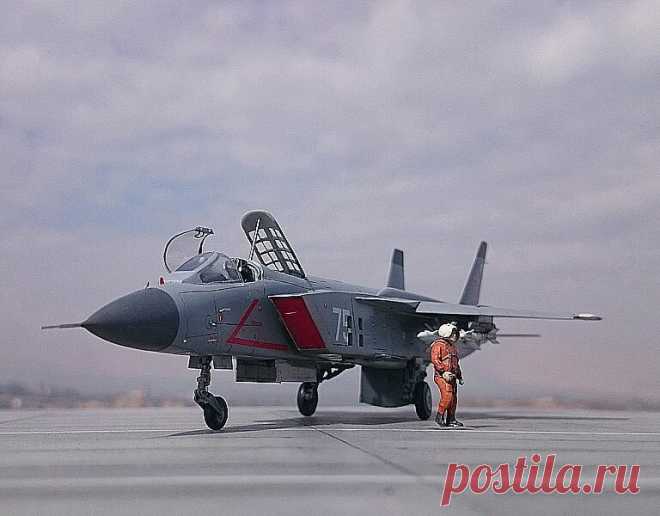 Як-141 возвращается. Самолет вертикального взлета скоро поступит на вооружение ВМФ России? | Кот «Будённ» | Яндекс Дзен