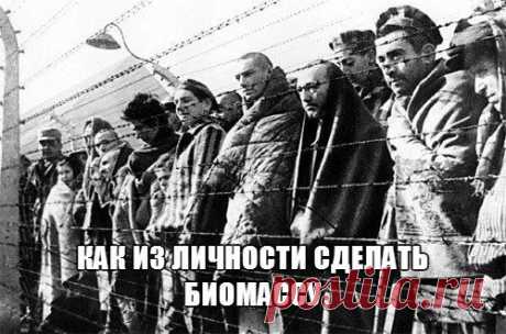 Управленческая стратегия концлагеря: как из личности сделать биомассу. | Human psychology