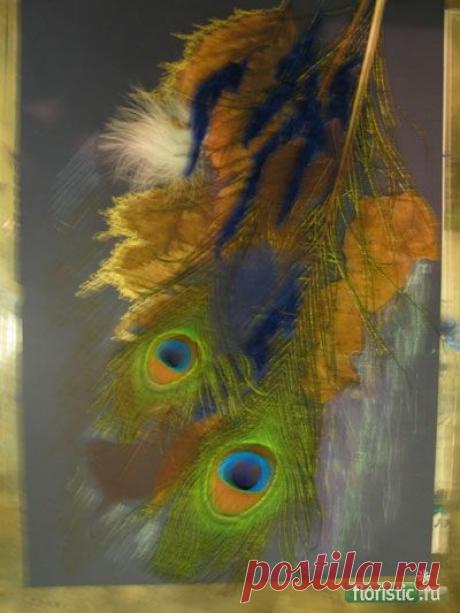 Коллажи и декоративные панно - Страница 4 - Флористика: популярный флористический форум