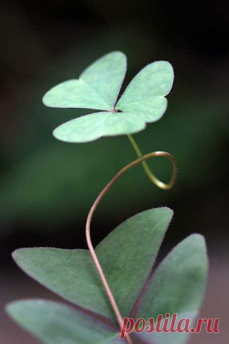 2644174955_1ccbf9680a.jpg (333×500)