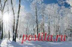 Кирилл Весноуказчик