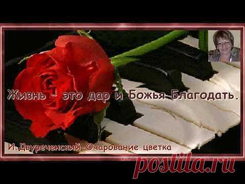 Как часто в жизни ошибаясь, теряем тех, кем дорожим....