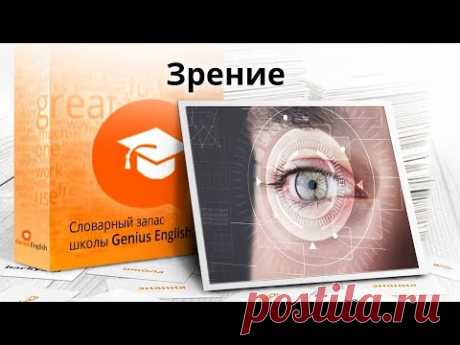 Тема: "Зрение" - Словарный запас школы GeniusEnglish