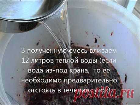 Домашнее вино из варенья забродившего  &amp;#8211; простые домашние рецепты