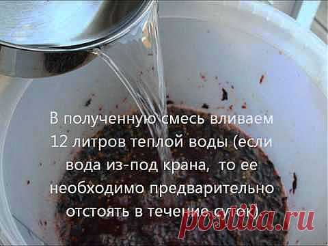 Домашнее вино из варенья забродившего  &#8211; простые домашние рецепты