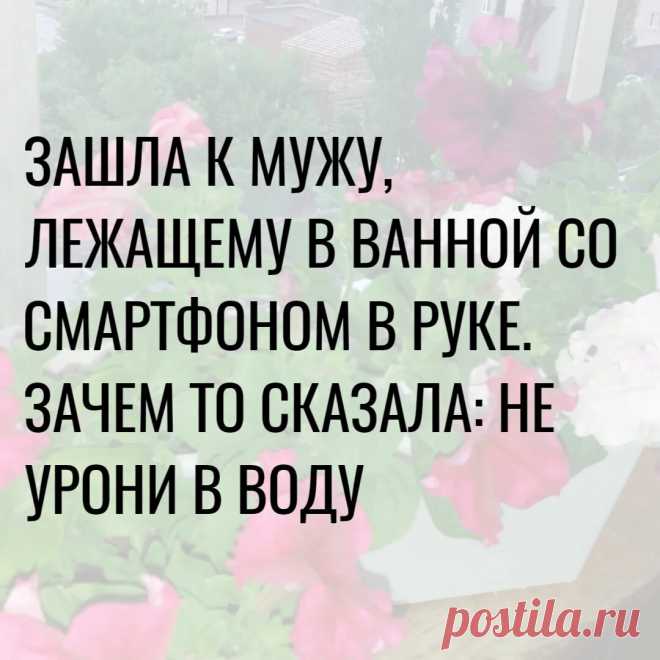 Случай из семейной жизни | Нумааам! | Яндекс Дзен