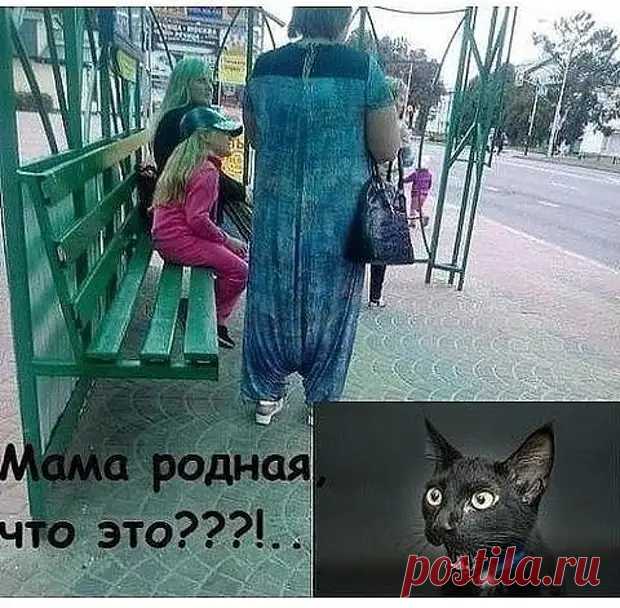 Подарили мне перчатки французские