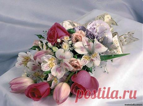 Новое на сайте Золотые Руки. Выпуск 222 | Золотые Руки