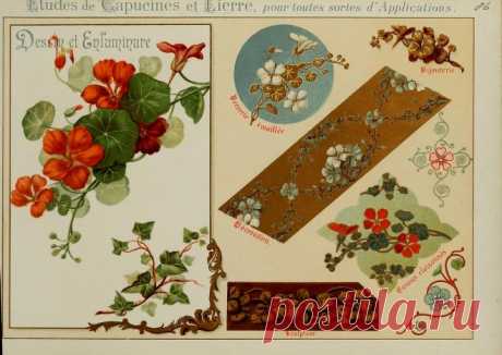 Fleurs d'après nature et fleurs ornementales : études de fleurs et feulliages avec diverses interprétations applicables à l'enluminure et à la décoration : Guillot, Ernest : Free Download, Borrow, and Streaming : Internet Archive