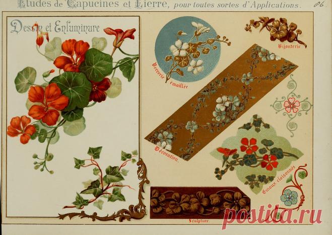 Fleurs d'après nature et fleurs ornementales : études de fleurs et feulliages avec diverses interprétations applicables à l'enluminure et à la décoration : Guillot, Ernest : Free Download, Borrow, and Streaming : Internet Archive