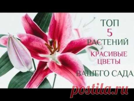 Фикс Прайс Fix Price Новинки Товар для рассады Крутейшие матрасики для семян | BEAUTY MIX - МИКСУЙ КРАСИВО! | Яндекс Дзен