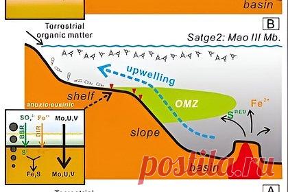 Пермское вымирание связали с извержением вулканов. Ученые Нанкинского университета в Китае показали, что массовое вымирание морских организмов в пермском периоде связано со снижением уровня кислорода из-за извержения вулканов. К такому выводу они пришли, проанализировав образцы отложений, полученных из карьера Чжигао в верховьях реки Янцзы.
